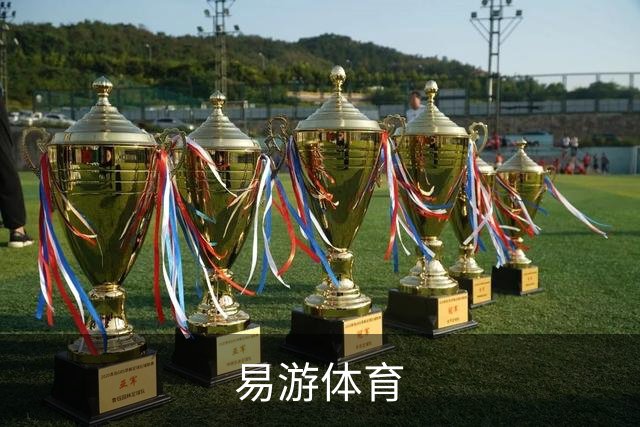 易游体育(中国)官方网站 APP