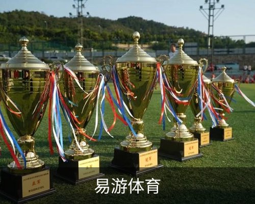 易游体育(中国)官方网站体育的故事 